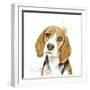 Watercolor Beagle-Patricia Pinto-Framed Art Print