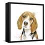 Watercolor Beagle-Patricia Pinto-Framed Stretched Canvas