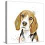 Watercolor Beagle-Patricia Pinto-Stretched Canvas