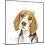 Watercolor Beagle-Patricia Pinto-Mounted Art Print