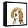 Watercolor Beagle-Patricia Pinto-Framed Stretched Canvas