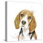 Watercolor Beagle-Patricia Pinto-Stretched Canvas