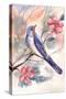 Watercolor Bird-Irina Trzaskos Studio-Stretched Canvas