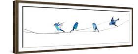 Watercolor Birds 2-Ben Gordon-Framed Giclee Print