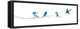 Watercolor Birds 2-Ben Gordon-Framed Stretched Canvas