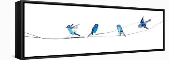 Watercolor Birds 2-Ben Gordon-Framed Stretched Canvas