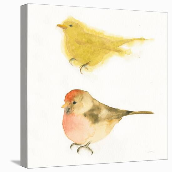 Watercolor Birds I Sq-Shirley Novak-Stretched Canvas