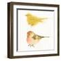 Watercolor Birds I Sq-Shirley Novak-Framed Art Print