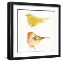 Watercolor Birds I Sq-Shirley Novak-Framed Art Print