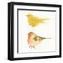 Watercolor Birds I Sq-Shirley Novak-Framed Art Print