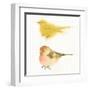 Watercolor Birds I Sq-Shirley Novak-Framed Art Print