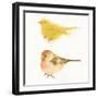 Watercolor Birds I Sq-Shirley Novak-Framed Art Print