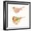 Watercolor Birds II Sq-Shirley Novak-Framed Art Print