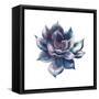 Watercolor Black Succulent-Eisfrei-Framed Stretched Canvas