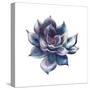 Watercolor Black Succulent-Eisfrei-Stretched Canvas