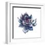 Watercolor Black Succulent-Eisfrei-Framed Art Print