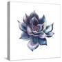 Watercolor Black Succulent-Eisfrei-Stretched Canvas