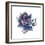 Watercolor Black Succulent-Eisfrei-Framed Art Print