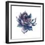 Watercolor Black Succulent-Eisfrei-Framed Art Print