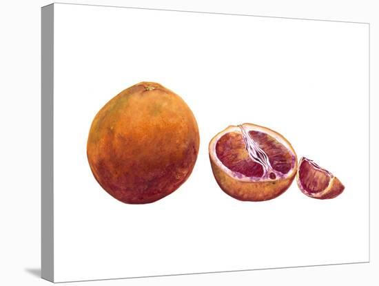 Watercolor Blood Orange-Michael Willett-Stretched Canvas