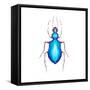 Watercolor Blue Beetle Illustration-Eisfrei-Framed Stretched Canvas