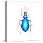 Watercolor Blue Beetle Illustration-Eisfrei-Stretched Canvas