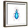 Watercolor Blue Beetle Illustration-Eisfrei-Framed Art Print