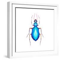 Watercolor Blue Beetle Illustration-Eisfrei-Framed Art Print