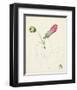 Watercolor Botanical Sketches IV-0 Unknown-Framed Art Print