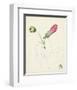 Watercolor Botanical Sketches IV-0 Unknown-Framed Art Print