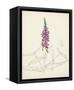 Watercolor Botanical Sketches V-0 Unknown-Framed Stretched Canvas