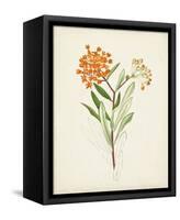 Watercolor Botanical Sketches VI-0 Unknown-Framed Stretched Canvas