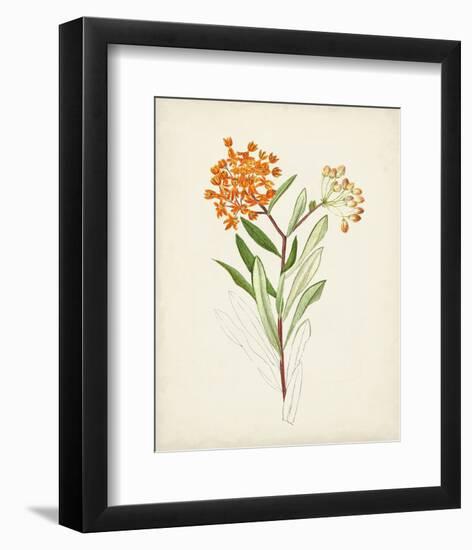 Watercolor Botanical Sketches VI-0 Unknown-Framed Art Print