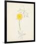 Watercolor Botanical Sketches VII-0 Unknown-Framed Premium Giclee Print