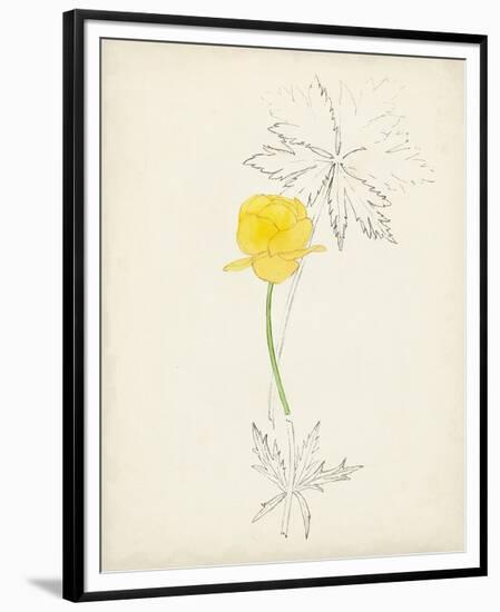 Watercolor Botanical Sketches VII-0 Unknown-Framed Premium Giclee Print