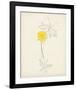 Watercolor Botanical Sketches VII-0 Unknown-Framed Art Print