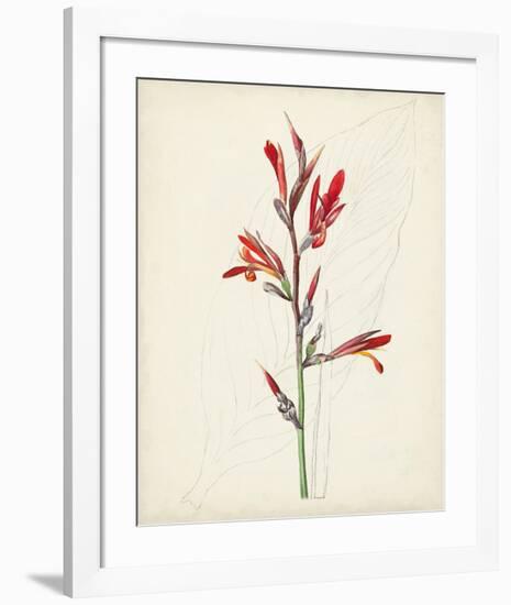 Watercolor Botanical Sketches XII-0 Unknown-Framed Art Print