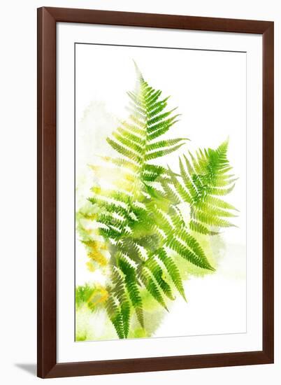 Watercolor Botanicals 3-THE Studio-Framed Giclee Print