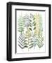 Watercolor Botany I-Megan Meagher-Framed Art Print