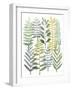 Watercolor Botany I-Megan Meagher-Framed Art Print