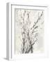 Watercolor Branches I-Samuel Dixon-Framed Art Print