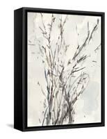 Watercolor Branches I-Samuel Dixon-Framed Stretched Canvas