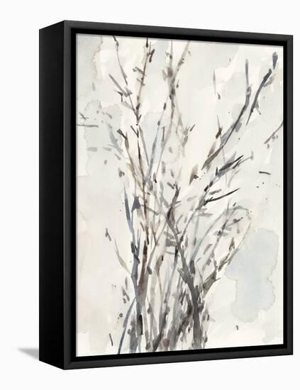 Watercolor Branches I-Samuel Dixon-Framed Stretched Canvas