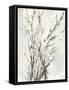 Watercolor Branches I-Samuel Dixon-Framed Stretched Canvas