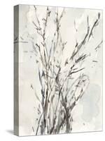 Watercolor Branches I-Samuel Dixon-Stretched Canvas