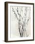 Watercolor Branches II-Samuel Dixon-Framed Art Print