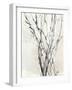 Watercolor Branches II-Samuel Dixon-Framed Art Print