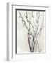 Watercolor Branches II-Samuel Dixon-Framed Art Print