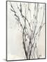 Watercolor Branches II-Samuel Dixon-Mounted Art Print