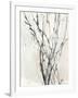 Watercolor Branches II-Samuel Dixon-Framed Art Print